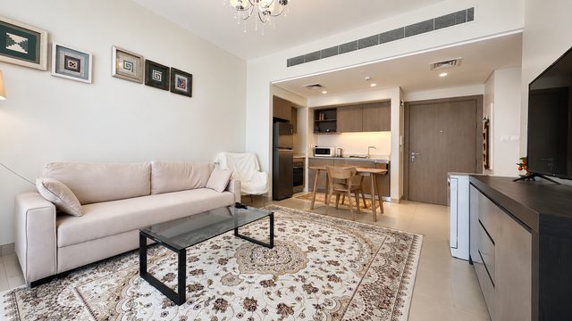 One Bedroom Apartment, Fully Furnished and Ready