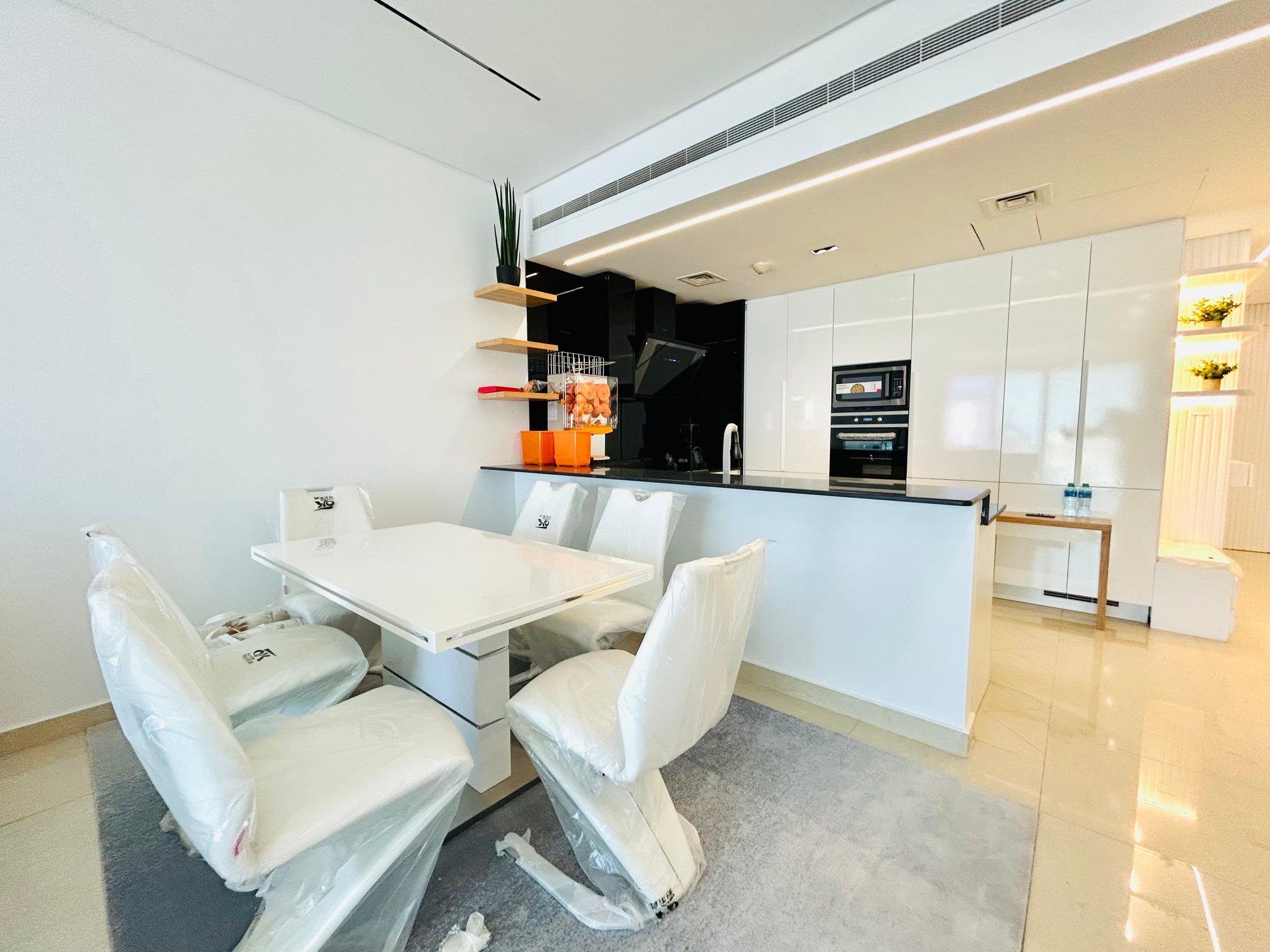 Two-Bedroom Apartment with Parking and Gym